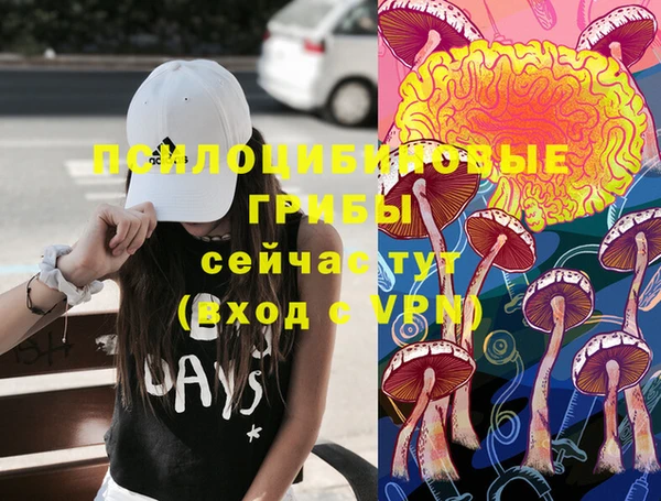 СК Абаза