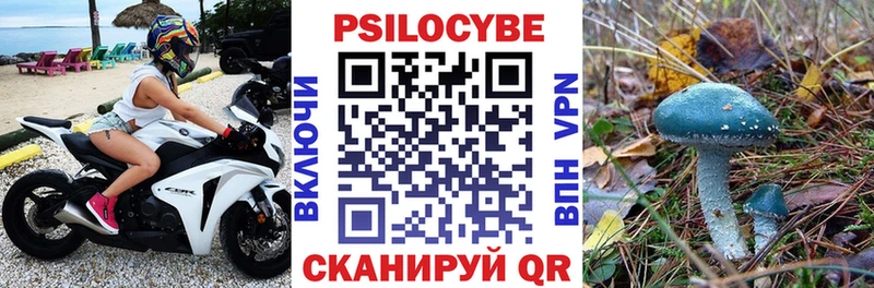 даркнет сайт Холмск Галлюциногенные грибы Psilocybe