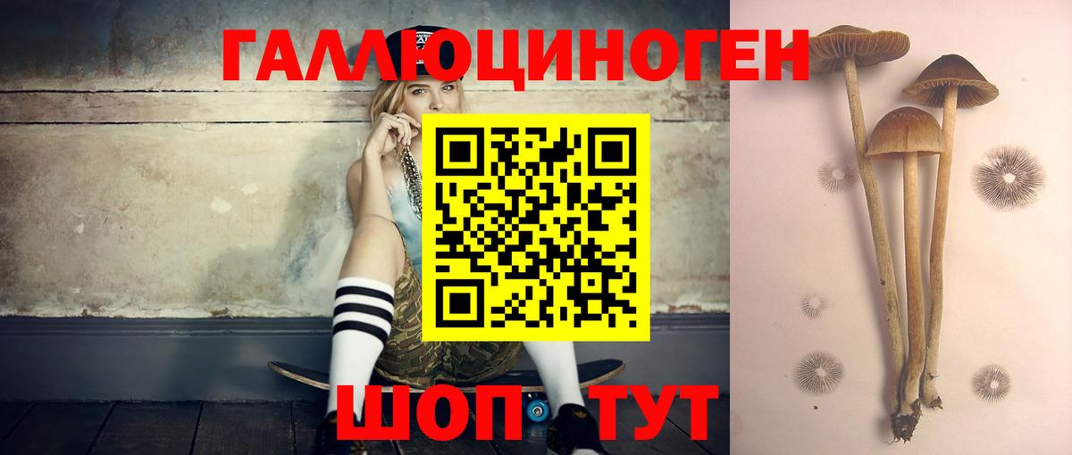 Холмск  Галлюциногенные грибы Psilocybine cubensis  Вход с VPN 